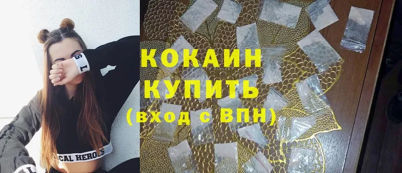 COCAIN Fish Scale  купить наркоту  Шадринск 